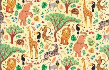 Safari