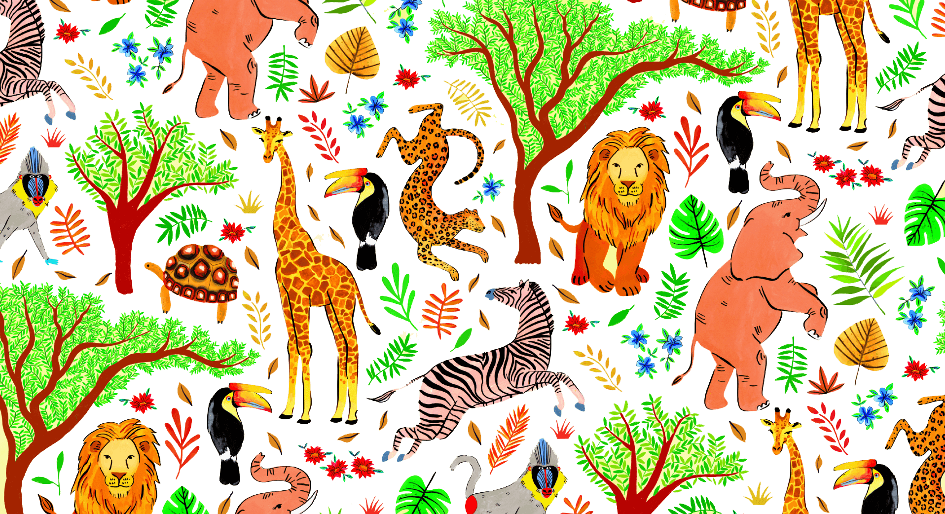 safari.png