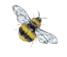 flying bee