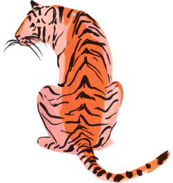 tiger sitting