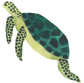 turtle green